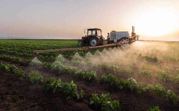 Professional Pest Control in Clover Creek, WA